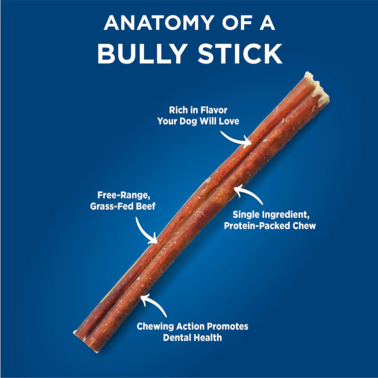 Barkworthies Odor-Free 12-inch Bully Sticks (3 Pack) - Healthy Dog Chews - Protein-Packed, Highly Digestible, All-Natural Rawhide Alternative Dog Treats - Promotes Dental Health