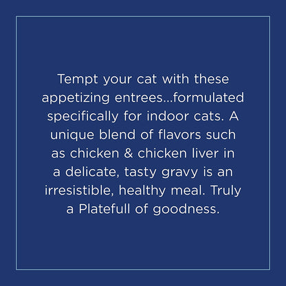 Natural Balance Platefulls Indoor Premium Adult Cat Food in Gravy | Grain-Free Food for Indoor Cats | Protein Choices Include Turkey, Salmon, Chicken, Mackerel, Duck | 3 Ounce Pouches (Pack of 24)