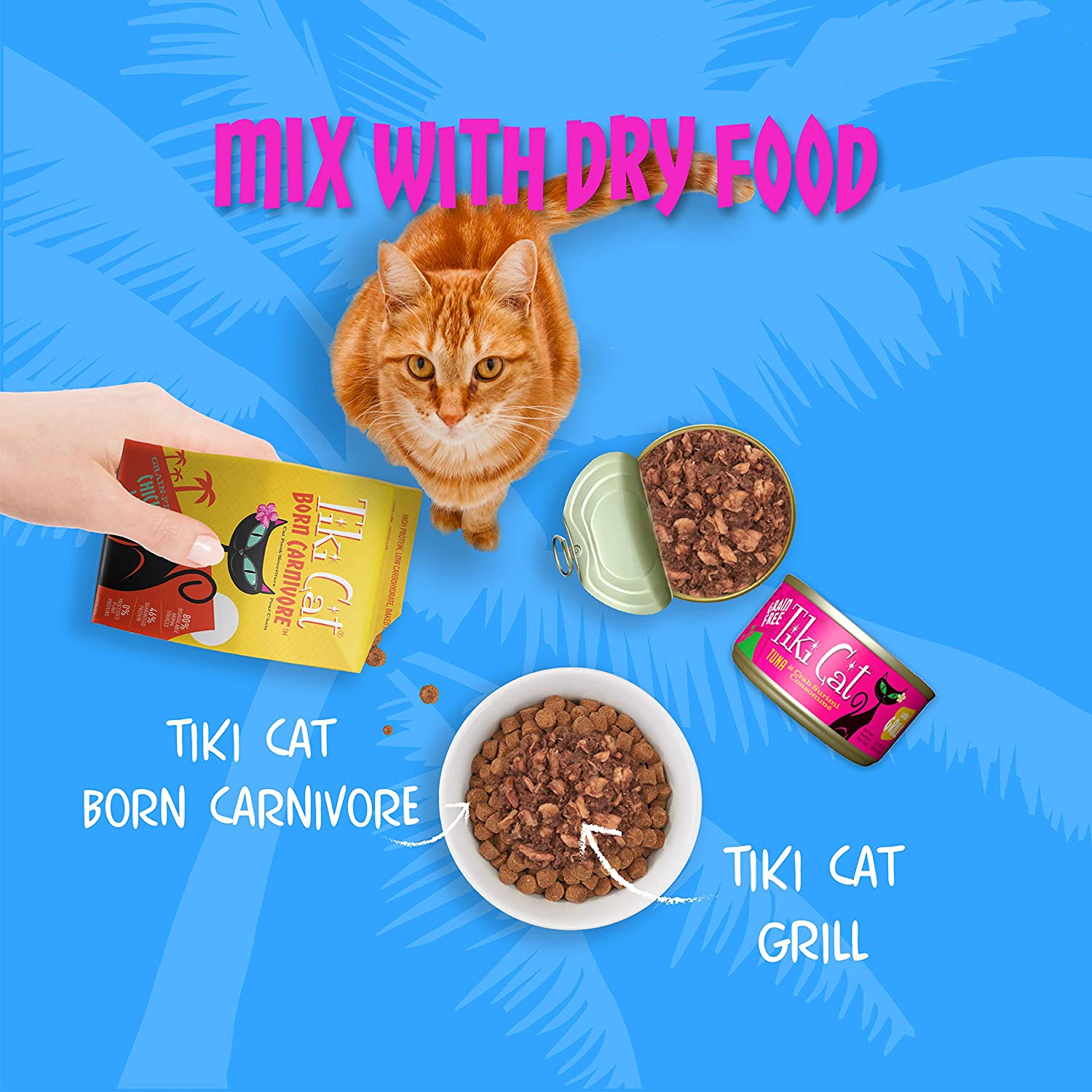 Tiki Cat Grill Grain-Free, Low-Carbohydrate Wet Food with Whole Seafood in Broth for Adult Cats & Kittens