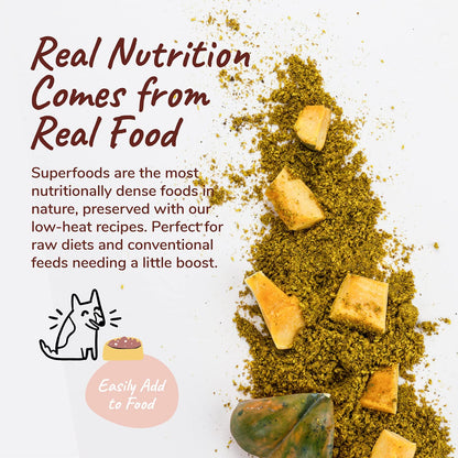 kin+kind Organic Fiber for Dogs & Cats - Pumpkin Boost for Healthy Poops - Stomach and Bowel Support - Digestive Health - Natural Formula with Flax Seed, Ginger, Turmeric and Coconut - Made in USA