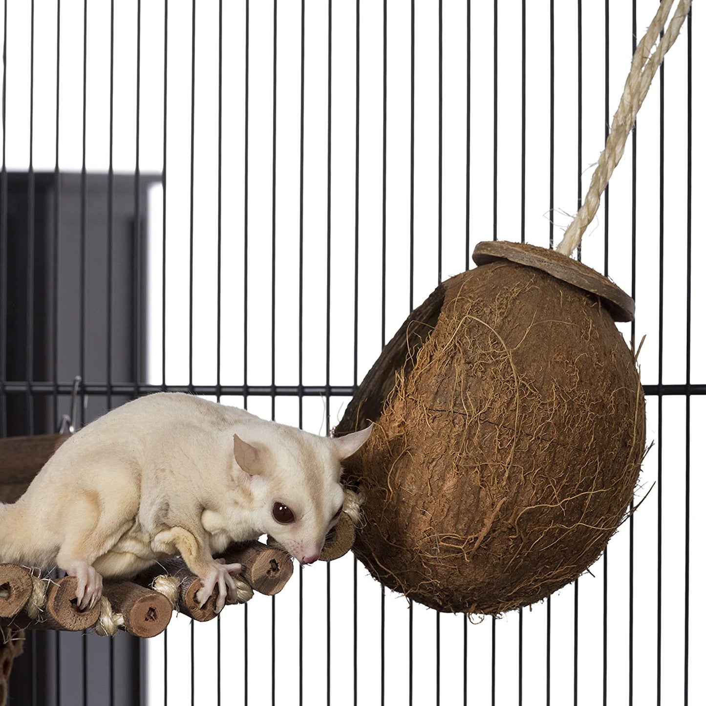 Prevue Hendryx. 62801 Naturals Coco Hideaway with Ladder Bird Toy