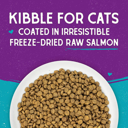 Stella & Chewy’s Raw Coated Premium Kibble Cat Food – Grain Free, Protein Rich Meals, Dry Food for Cats & Kittens