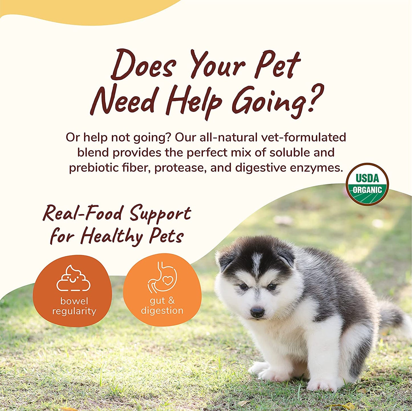 kin+kind Organic Fiber for Dogs & Cats - Pumpkin Boost for Healthy Poops - Stomach and Bowel Support - Digestive Health - Natural Formula with Flax Seed, Ginger, Turmeric and Coconut - Made in USA