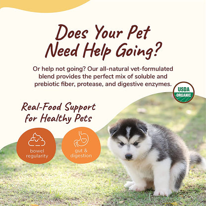 kin+kind Organic Fiber for Dogs & Cats - Pumpkin Boost for Healthy Poops - Stomach and Bowel Support - Digestive Health - Natural Formula with Flax Seed, Ginger, Turmeric and Coconut - Made in USA