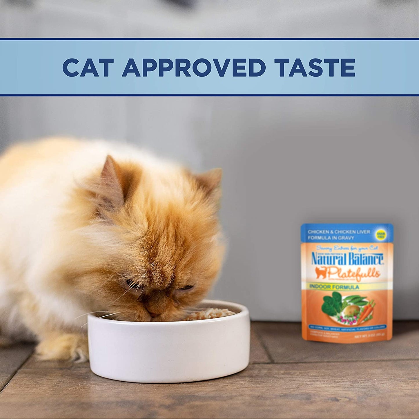 Natural Balance Platefulls Indoor Premium Adult Cat Food in Gravy | Grain-Free Food for Indoor Cats | Protein Choices Include Turkey, Salmon, Chicken, Mackerel, Duck | 3 Ounce Pouches (Pack of 24)