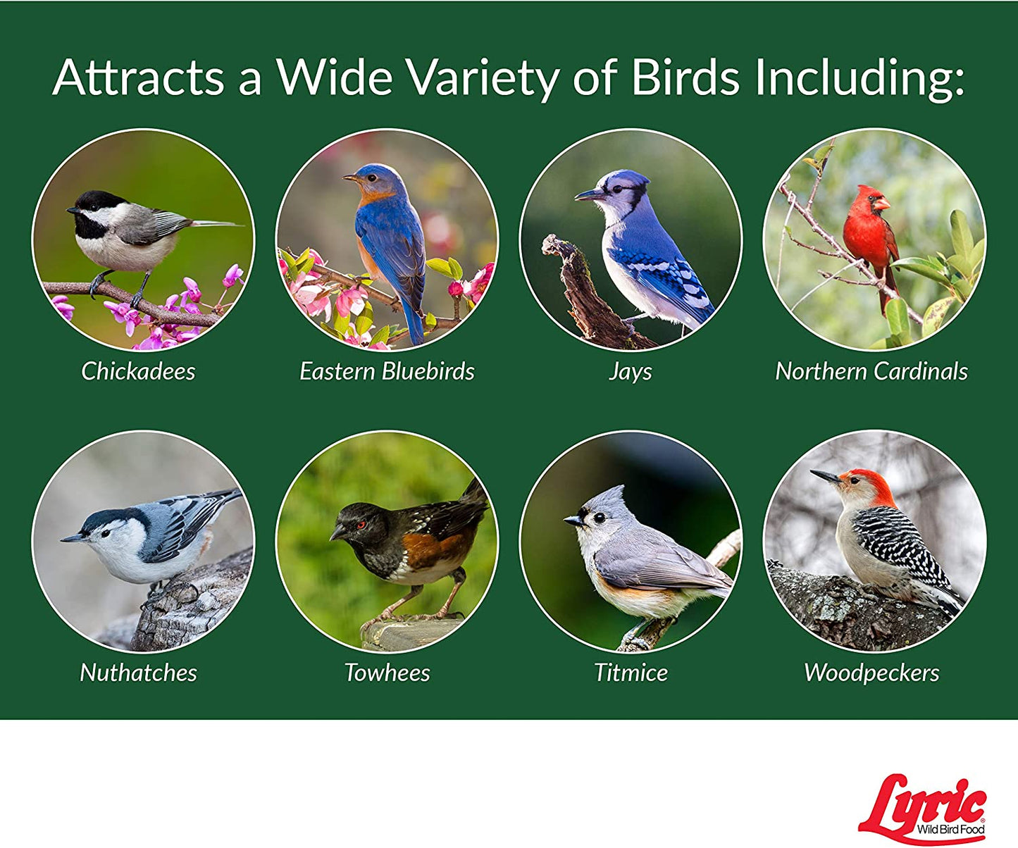 Lyric Peanut Pieces Wild Bird Food