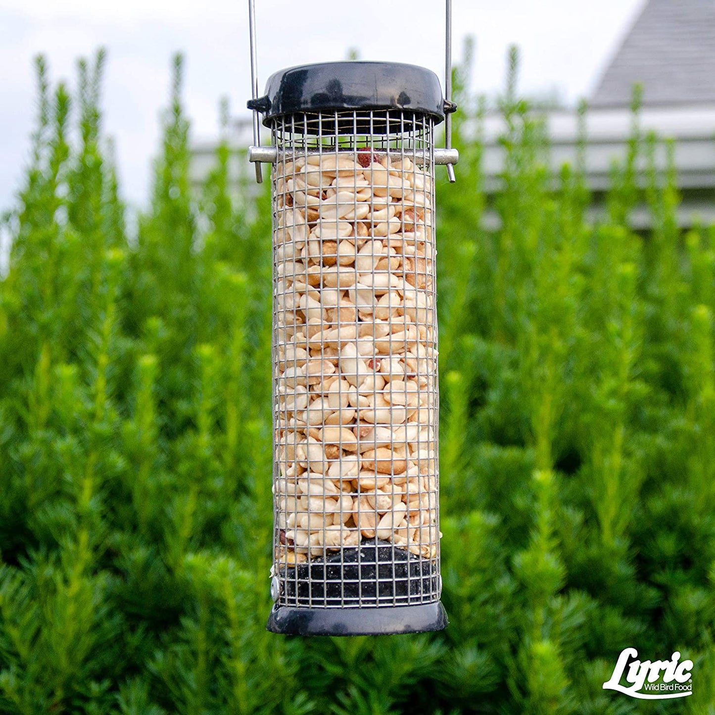 Lyric Peanut Pieces Wild Bird Food
