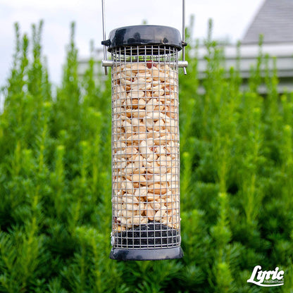 Lyric Peanut Pieces Wild Bird Food